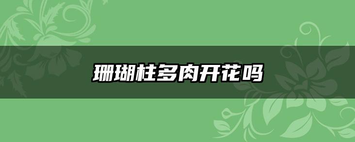 珊瑚柱多肉开花吗