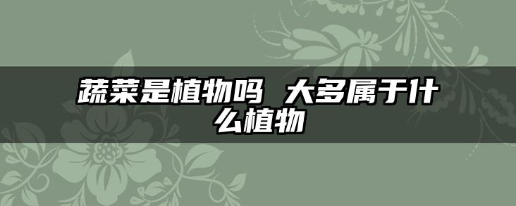 蔬菜是植物吗 大多属于什么植物