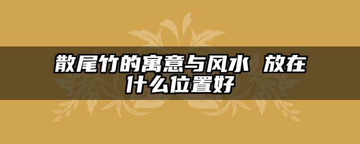 散尾竹的寓意与风水 放在什么位置好