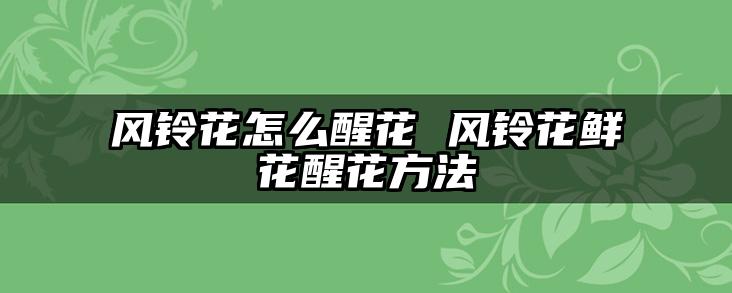 风铃花怎么醒花 风铃花鲜花醒花方法