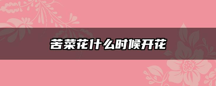 苦菜花什么时候开花