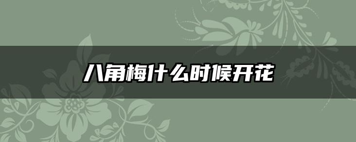 八角梅什么时候开花