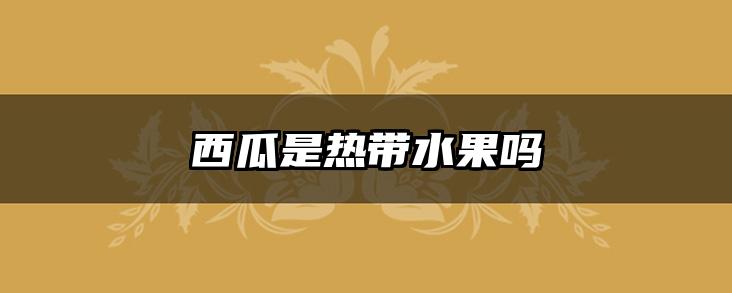西瓜是热带水果吗