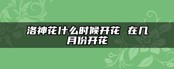 洛神花什么时候开花 在几月份开花