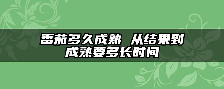 番茄多久成熟 从结果到成熟要多长时间