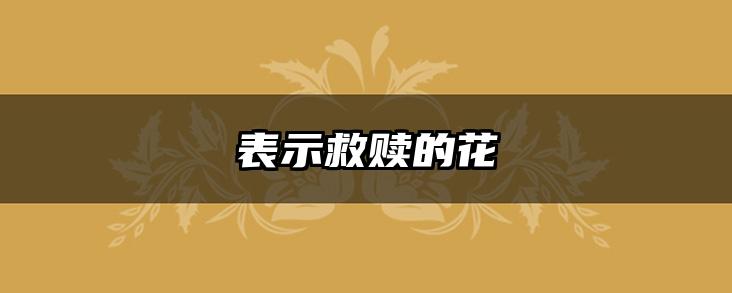 表示救赎的花