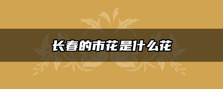 长春的市花是什么花