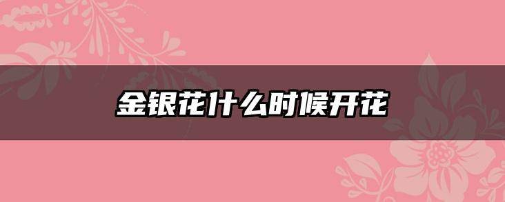 金银花什么时候开花
