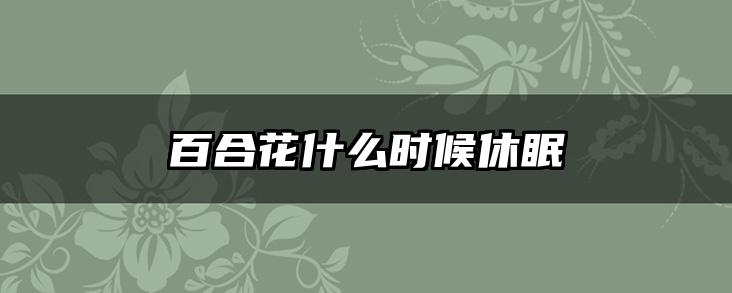 百合花什么时候休眠