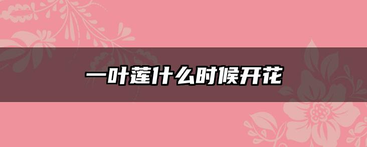 一叶莲什么时候开花