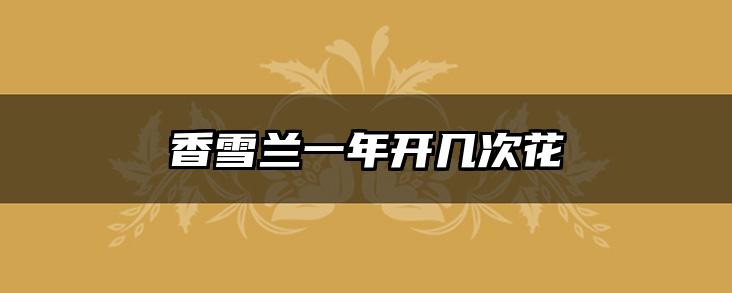 香雪兰一年开几次花