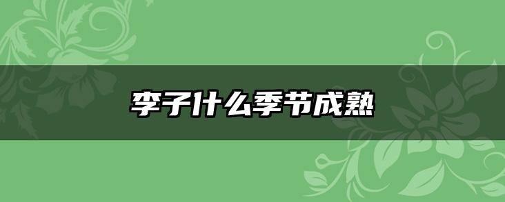 李子什么季节成熟