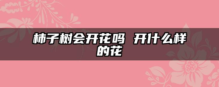 柿子树会开花吗 开什么样的花