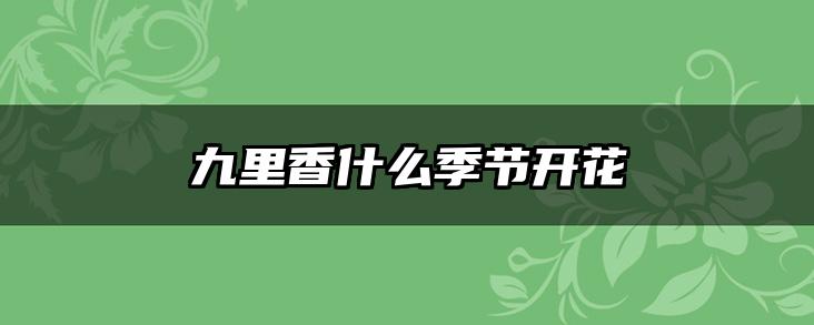 九里香什么季节开花