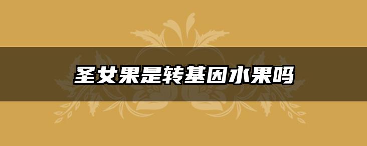 圣女果是转基因水果吗