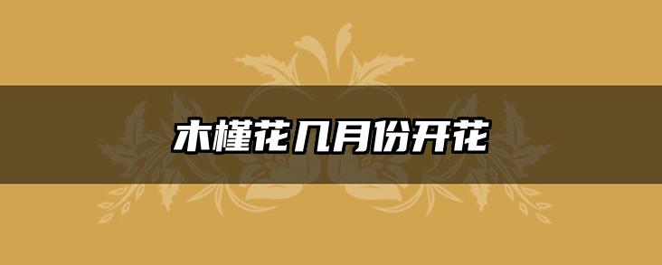 木槿花几月份开花