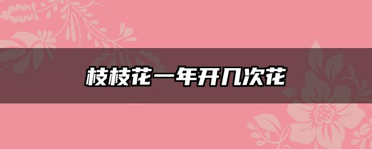 枝枝花一年开几次花