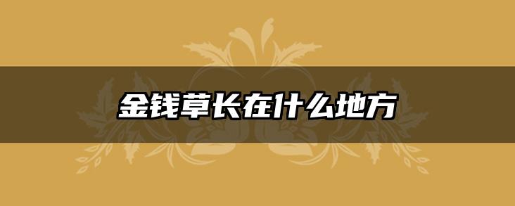 金钱草长在什么地方