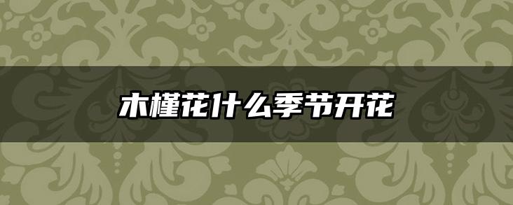 木槿花什么季节开花