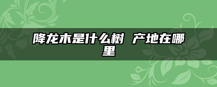 降龙木是什么树 产地在哪里