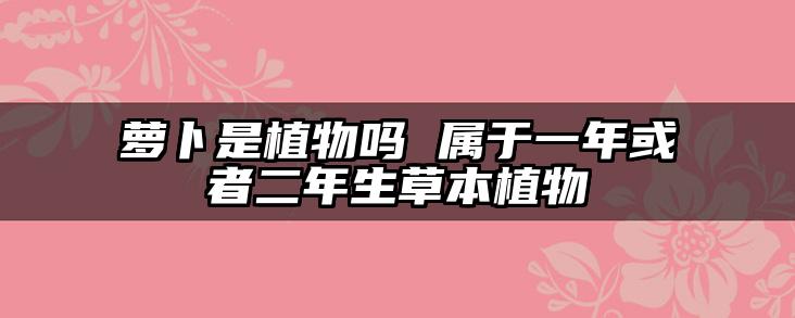 萝卜是植物吗 属于一年或者二年生草本植物
