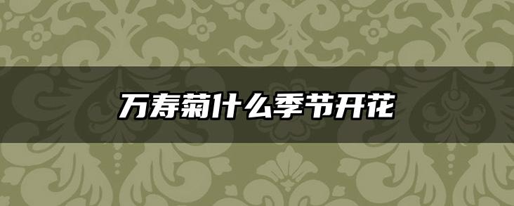 万寿菊什么季节开花