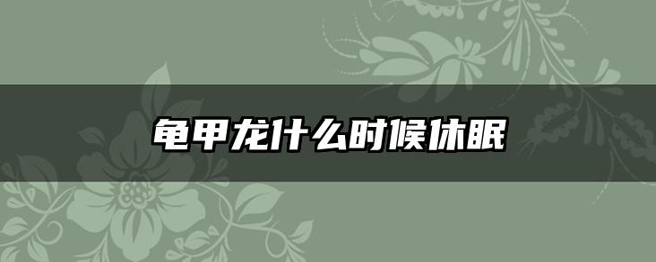 龟甲龙什么时候休眠