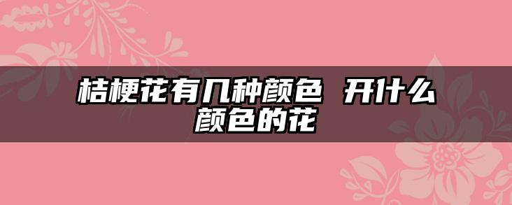 桔梗花有几种颜色 开什么颜色的花