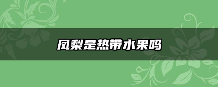 凤梨是热带水果吗