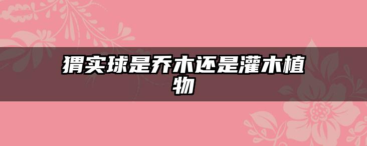 猬实球是乔木还是灌木植物