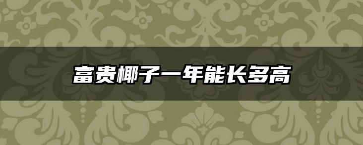 富贵椰子一年能长多高