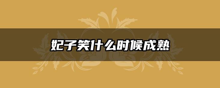 妃子笑什么时候成熟