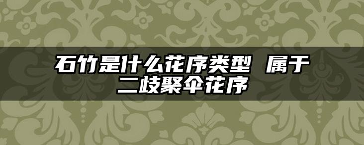 石竹是什么花序类型 属于二歧聚伞花序