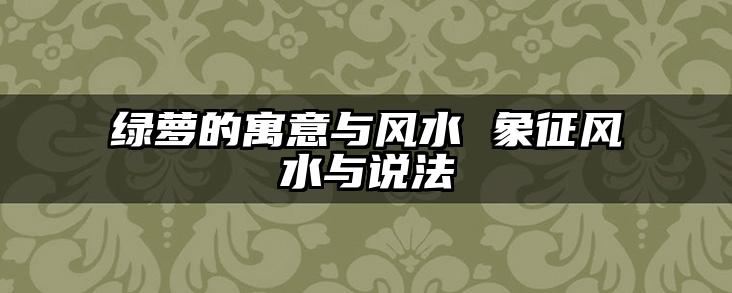 绿萝的寓意与风水 象征风水与说法