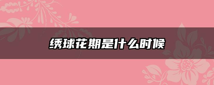 绣球花期是什么时候