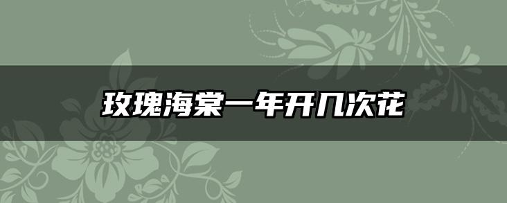 玫瑰海棠一年开几次花