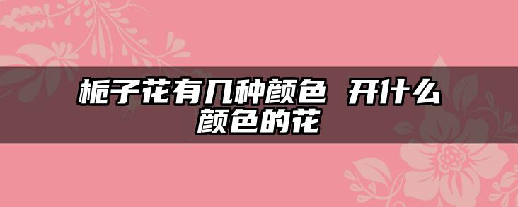 栀子花有几种颜色 开什么颜色的花