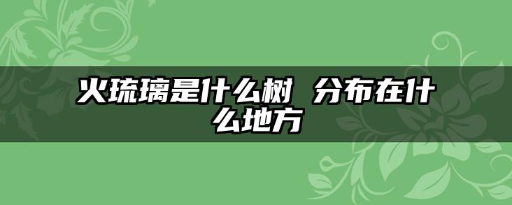火琉璃是什么树 分布在什么地方