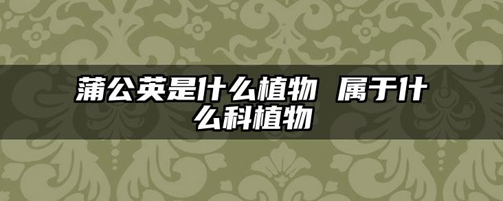 蒲公英是什么植物 属于什么科植物