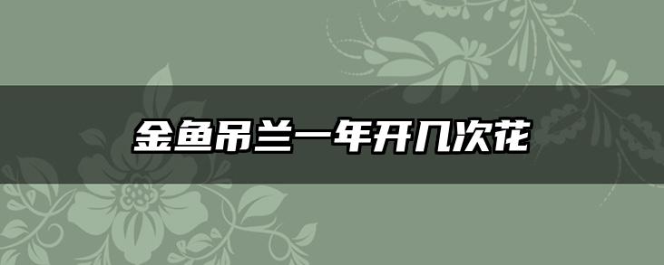 金鱼吊兰一年开几次花
