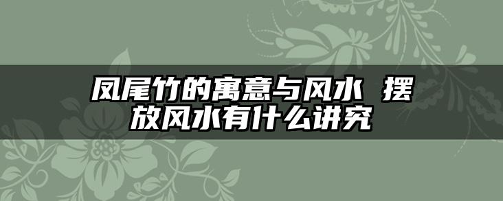 凤尾竹的寓意与风水 摆放风水有什么讲究