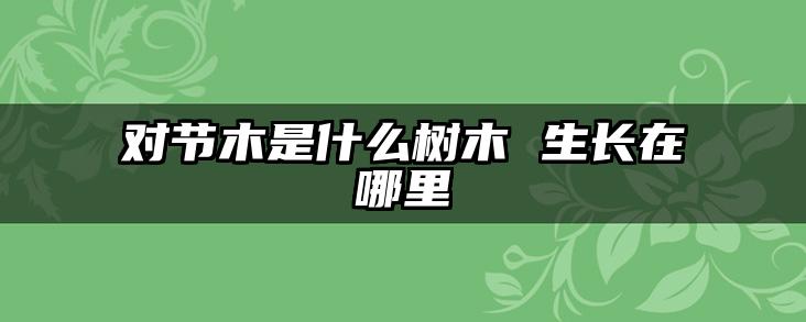 对节木是什么树木 生长在哪里