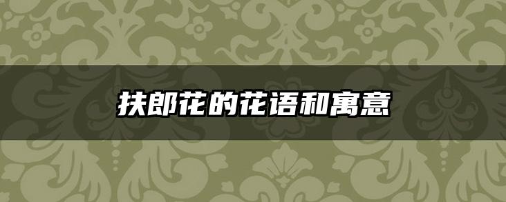 扶郎花的花语和寓意