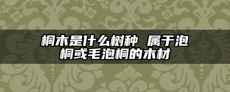桐木是什么树种 属于泡桐或毛泡桐的木材