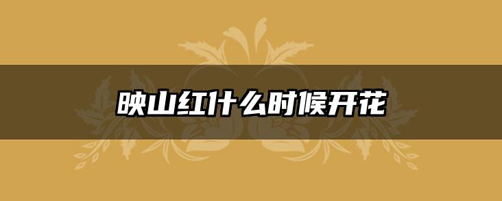映山红什么时候开花