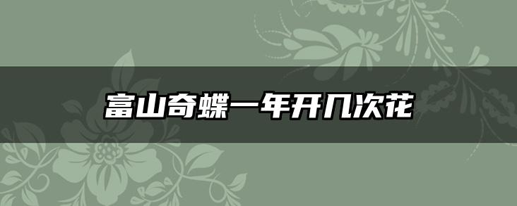 富山奇蝶一年开几次花