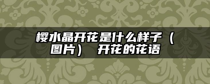 樱水晶开花是什么样子(图片) 开花的花语
