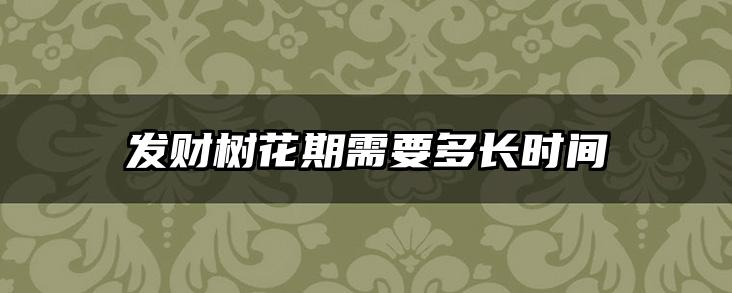 发财树花期需要多长时间