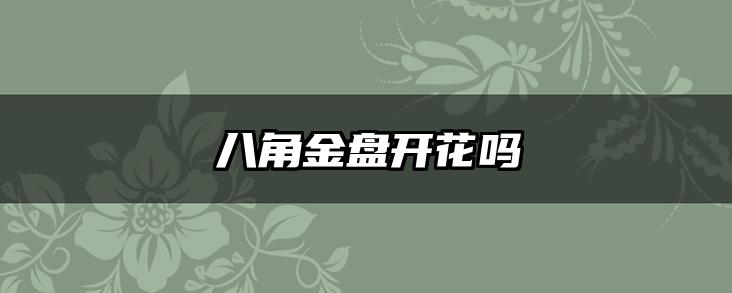 八角金盘开花吗
