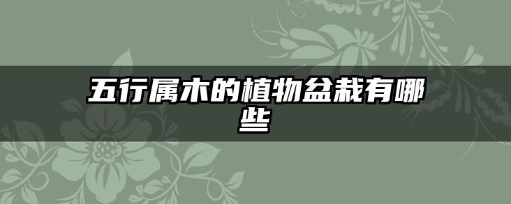 五行属木的植物盆栽有哪些